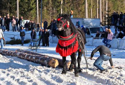 Zawody Furmanów 2019