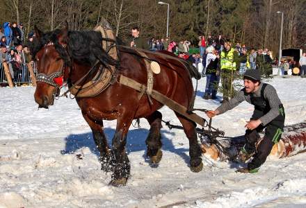 Zawody Furmanów 2019