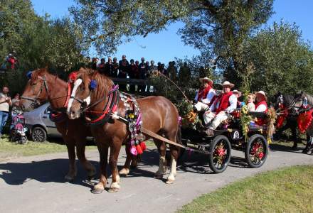 Korowód Dożynkowy 2019