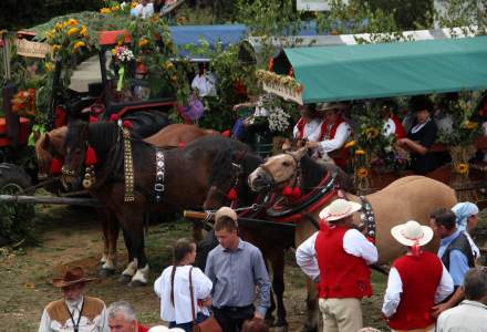 Dożynki 2016