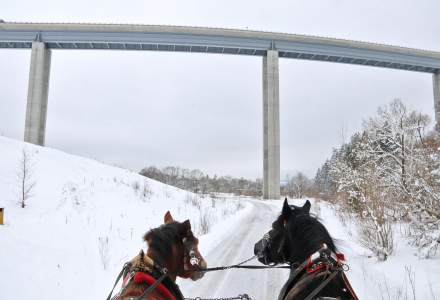 Rodzinny Kulig Doliną Czadeczki