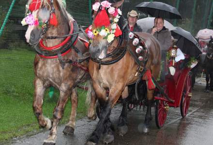 Dożynki Gminne 2017