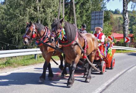 Dożynki 2023