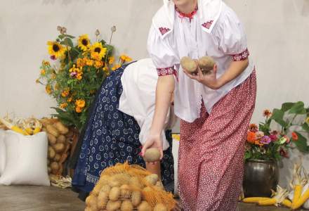 Dożynki Gminne 2017