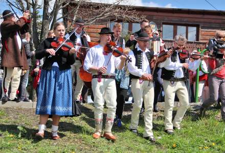 Mieszanie Owiec w Koniakowie