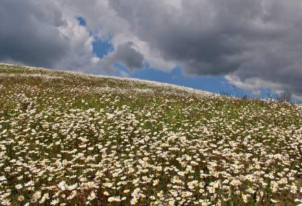 Wiosenne klimaty