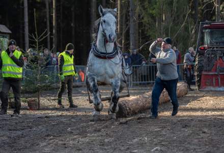 Zawody Furmanów 2024