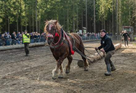 Zawody Furmanów 2024