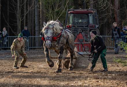 Zawody Furmanów 2024