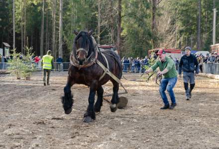 Zawody Furmanów 2024