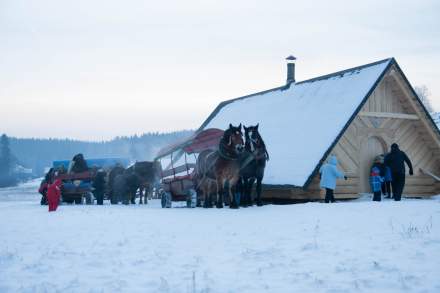 Kulig  - Kuligi Jaworzynka