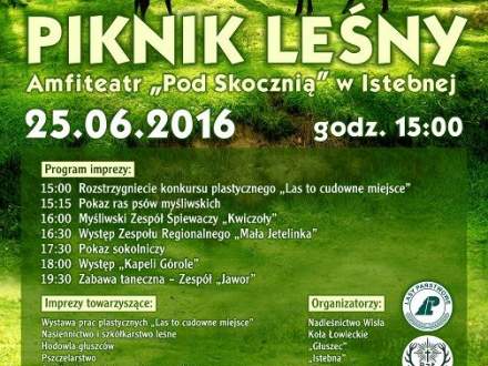 Piknik Leśny 2016