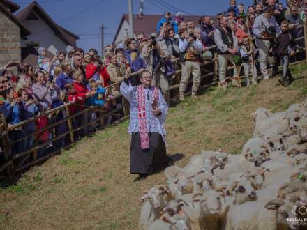 Miyszani Owiec w Koniakowie