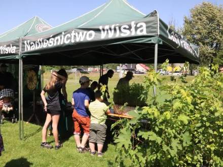 Leśny Piknik Ekologiczny