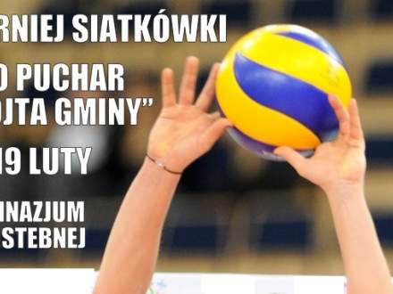 Turniej Siatkówki
