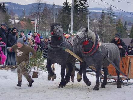 XX Zawody Furmanów