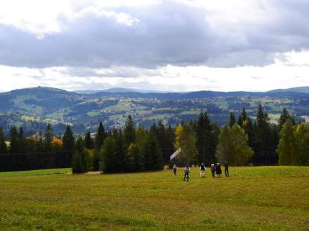 Rozsod Owiec na Stecówce 2019