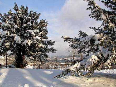 I znowu mamy zimę!