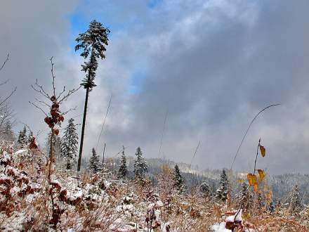 Listopadowa zima w okolicach Kubalonki