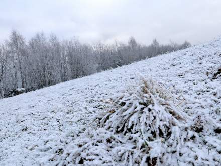 Pierwszy śnieg