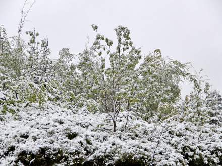 14 maja na Kubalonce