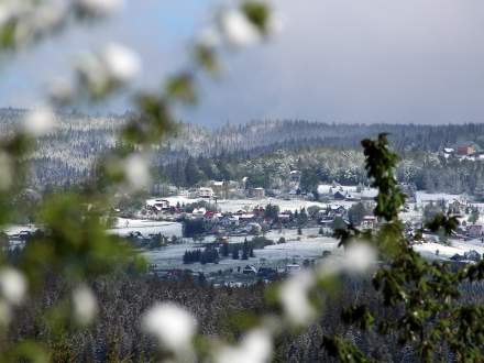 Niezawodni Zmarzloki