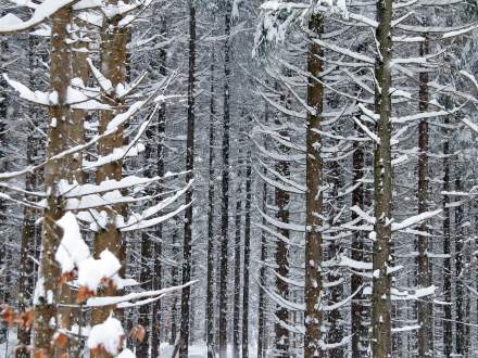 Śnieg w Istebnej