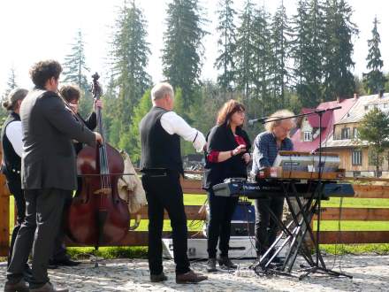 Koncert na Stecówce