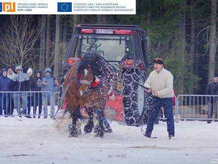 XX Zawody Furmanów