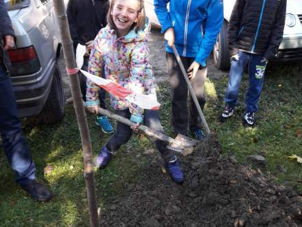 Święto Drzewa na Zapasiekach