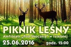 Piknik Leśny 2016