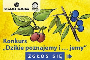 Logo konkursu "dzikie poznajemy i jemy"