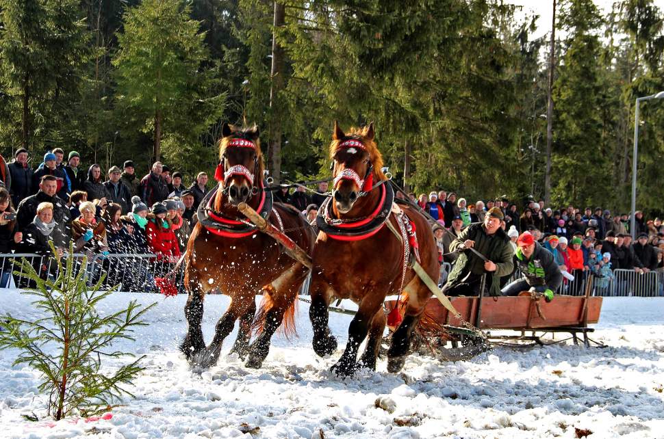 XV Zawody Furmanów