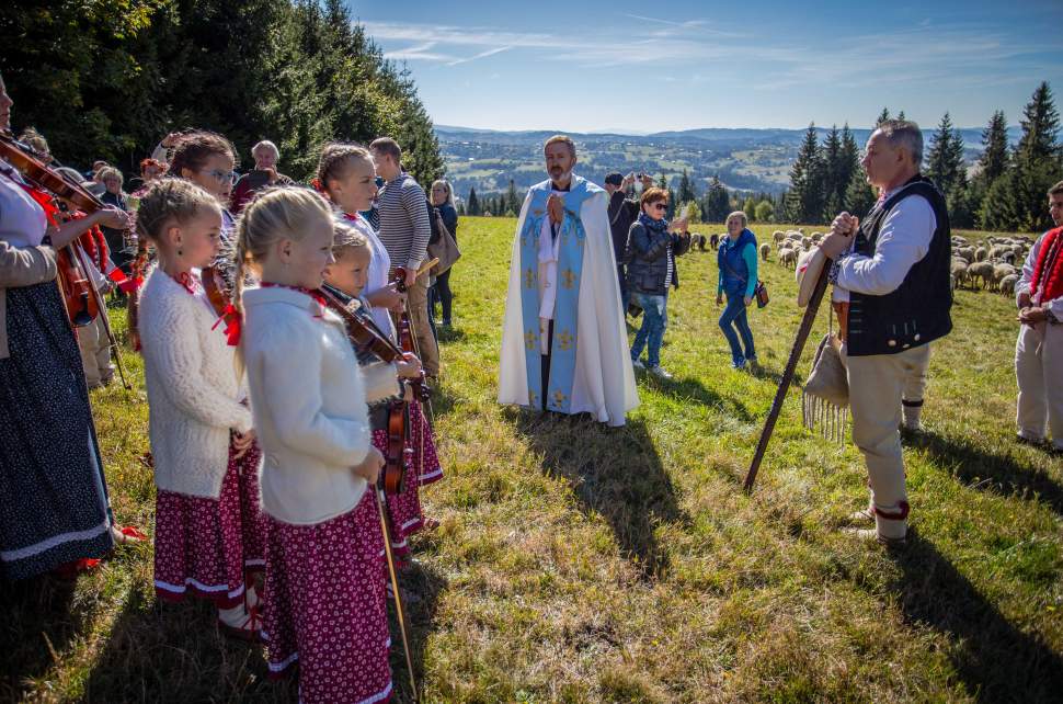 Rozsod Owiec na Stecówce fot. Michał Kuźma