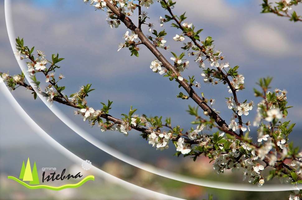 baner wiosna