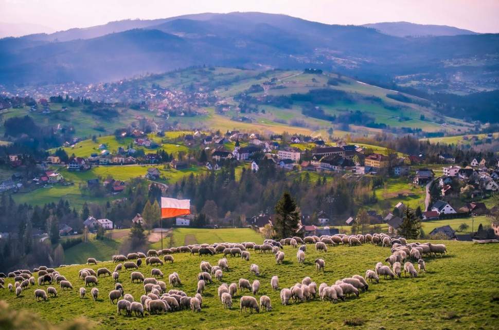 Dzień Flagi Rzeczpospolitej Polskiej, F:Michał Kuźma