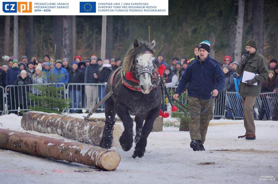 XX Zawody Furmanów