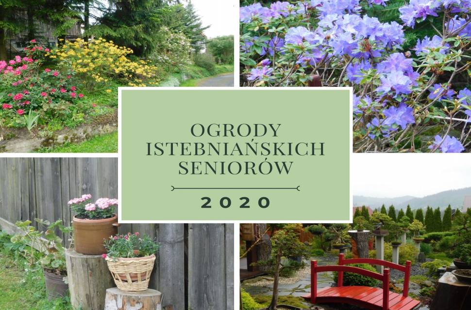 ogrody